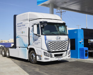 Move Your Body Calm Your Mind day at CA State Capitol