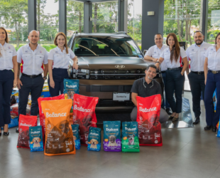 Diseño sin título (2).