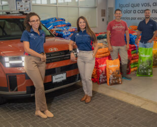 HYUNDAI_ZAGUATON_NAVIDAD-0025